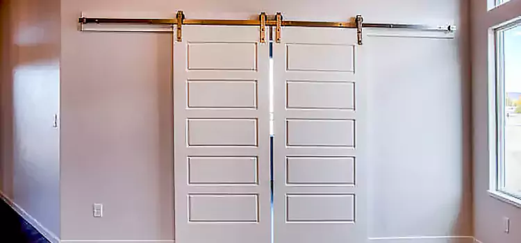 Glass Barn Door with Installation Hardware Kit Watertown